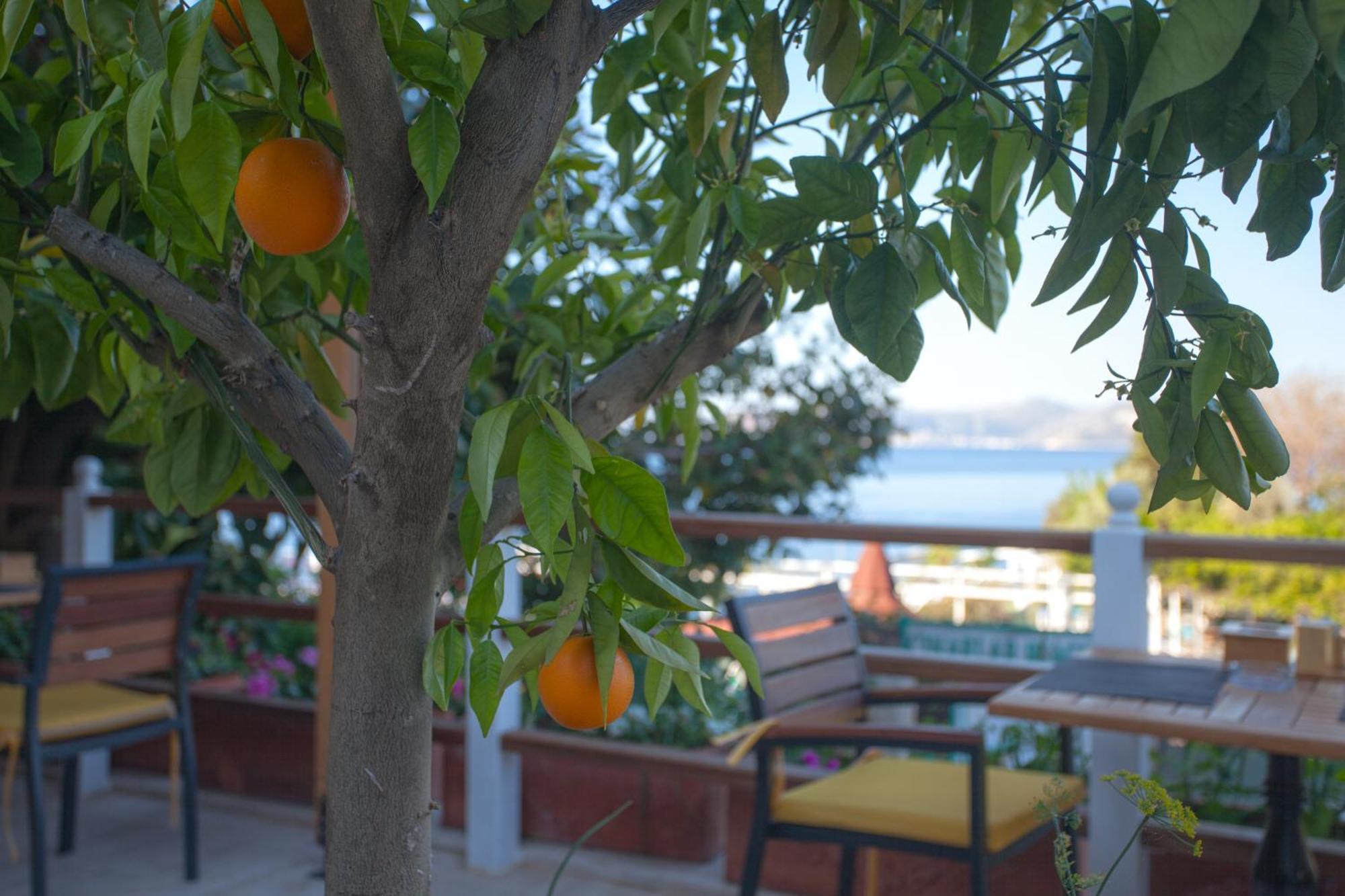 Hotel Ferah Kaş Kültér fotó